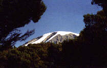 Kilimanjaro dal Mweka Camp